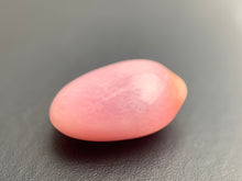 Natural Conch Loose Pearl 2.61ct No.35