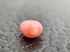 Natural Conch Loose Pearl 2.61ct No.35