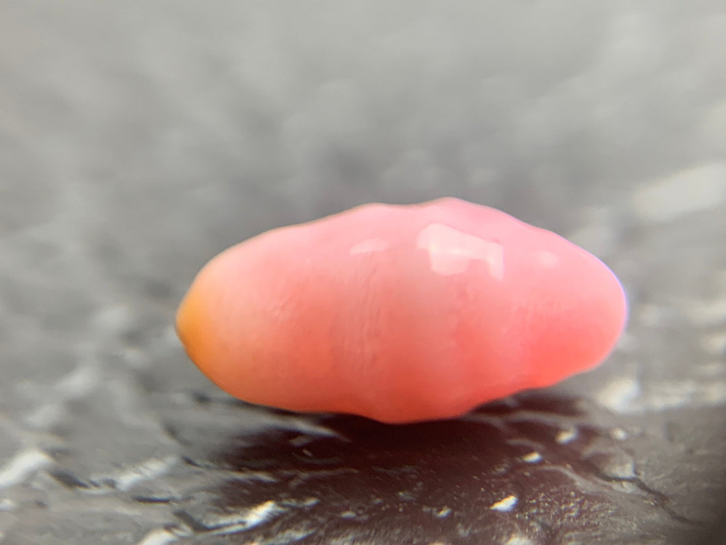 Conch Pearl Loose 2.03ct #42
