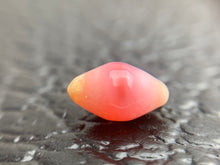 Natural Conch Loose pearl 1.41ct #51