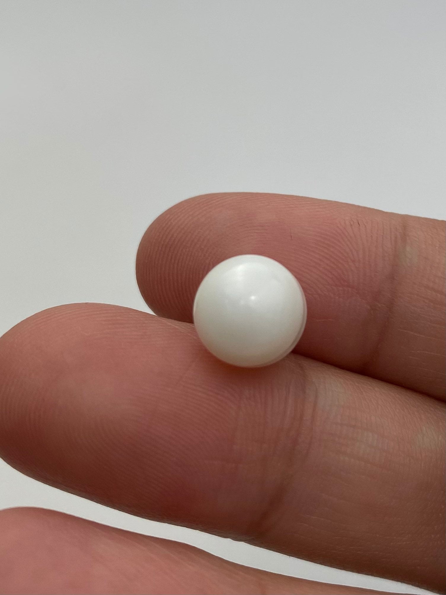 Clam pearl price on sale