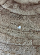 Small Circle Mother Of Pearl Bead, Sku#M2048
