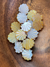 Mother Of Pearl Shell, Sku#M2223