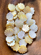 Mother Of Pearl Shell, Sku#M2223