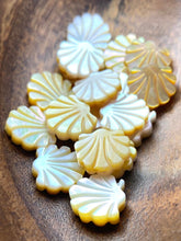 Mother Of Pearl Shell, Sku#M2223