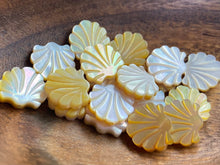 Mother Of Pearl Shell, Sku#M2223