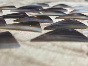 Mother Of Pearl Shell, Sku#M2296