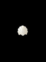 White Mother Of Pearl Sea Shell, Sku#M2223-2