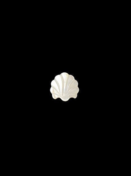 White Mother Of Pearl Sea Shell, Sku#M2223-2