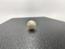 18.9mm Australian White South Sea Pearl, Sku#3050-5