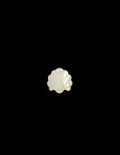 White Mother Of Pearl Sea Shell, Sku#M2223-2