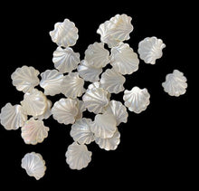White Mother Of Pearl Sea Shell, Sku#M2223-2