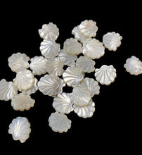 White Mother Of Pearl Sea Shell, Sku#M2223-2