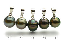 10mm Tahitian Pearl Pendants on Silver (116)