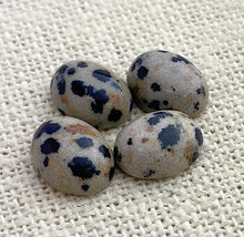 Dalmatian Jasper Oval Cabochon Sku#M1829