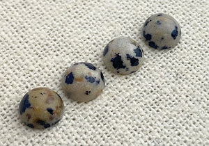 Dalmatian Jasper Circle Cabochon