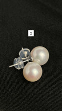 Stunning earring studs