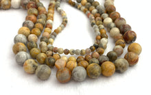 Crazy Lace Jasper Bead Strand Sku#M2909