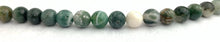 Moss Agate Bead Strand Sku#M2902