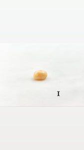 Melo melo conch pearls