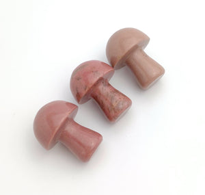 Dialogite Mushroom