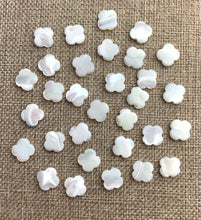 Mother of Pearl Flower