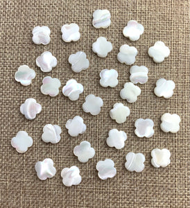 Mother of Pearl Flower