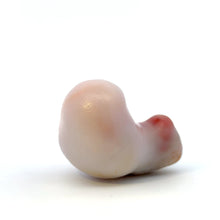 Tridanca blister, 100% natural.