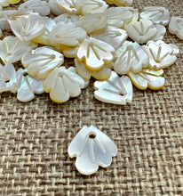 Mother of Pearl Charm Sku#M293