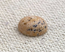 Picture Jasper Oval Cabochon