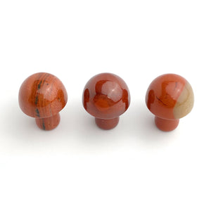 Red Jasper Mushrooms