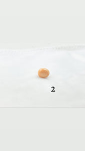 Melo melo conch pearls