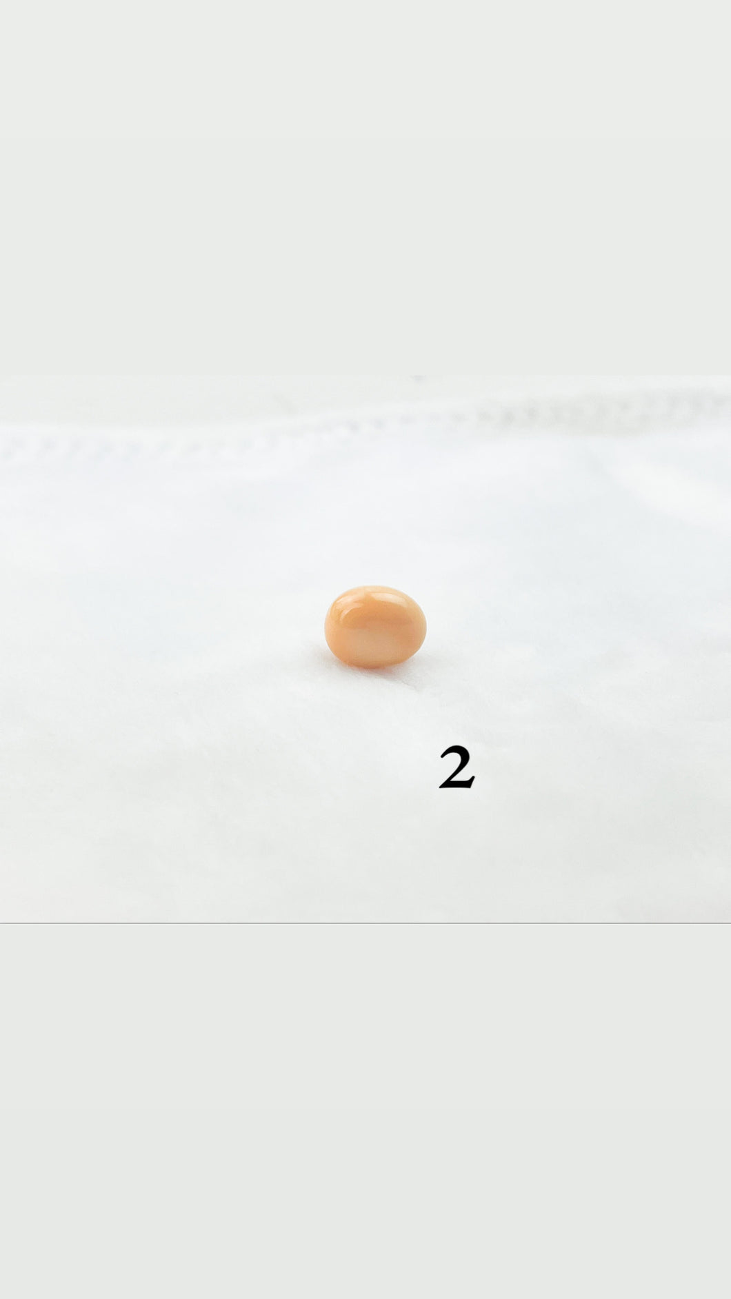 Melo melo conch pearls