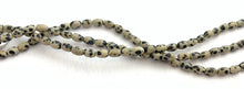 Dalmatian Jasper Bead Strand Sku#M2817