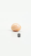 Cassis pearl, SKU#CP1