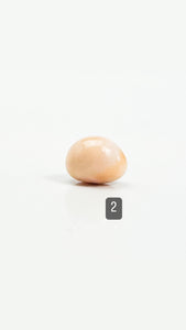 Cassis pearl, SKU#CP1