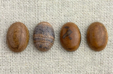 Picture Jasper Oval Cabochon
