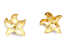 14KGF Starfish Studs , Sku#T133-1