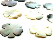 Mother Of Pearl Clover Shell, Sku#M307