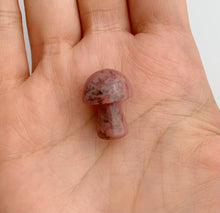 Dialogite Mushroom
