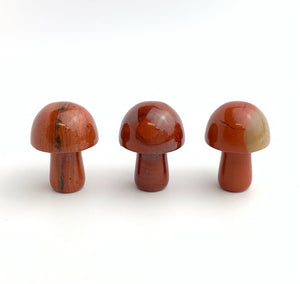 Red Jasper Mushrooms