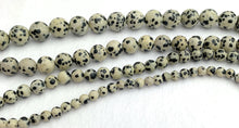 Dalmatian Jasper Bead Strand Sku#M2907