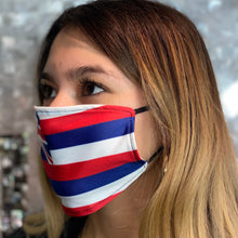 Hawaii State Flag Face Mask