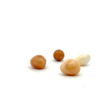 Cassis pearl, SKU#CP1