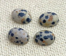 Dalmatian Jasper Oval Cabochon Sku#M1829