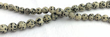 Dalmatian Jasper Bead Strand Sku#M2907