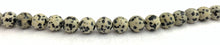 Dalmatian Jasper Bead Strand Sku#M2907