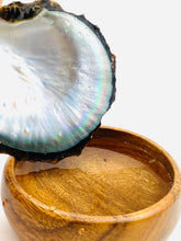 Beautiful oyster shells, SKU #OYST10