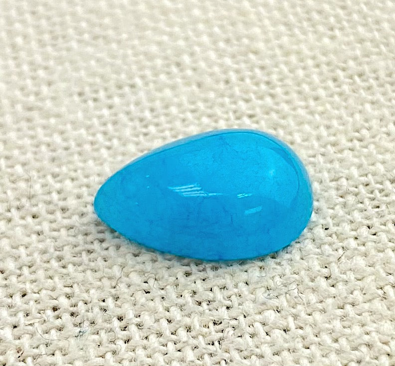 #『Southern blue 』　カノコダカラ貝 Southern blue 』 カノコダカラ貝