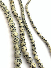 Dalmatian Jasper Bead Strand Sku#M2907
